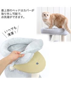 PET PARADISE 猫 キャットタワー 55cm スリム