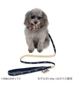 PET PARADISE Lee リード 《ロゴベージュ》 ＳＳ～Ｓ 小型犬