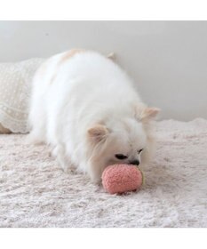 PET PARADISE ペットパラダイス ふわころトイ 《いちご  ピンク》 小型犬