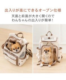 PET PARADISE ペットパラダイス くまちゃん帆布 ハグ＆リュック Ｓ 超小型犬