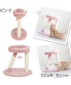 PET PARADISE 猫 キャットタワー 55cm スリム