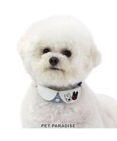 PET PARADISE リサとガスパール  襟付き首輪  《であい柄》ＳＳ 小型犬