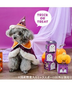 PET PARADISE ハロウィン おばけＢＯＸ ミックスボーロ