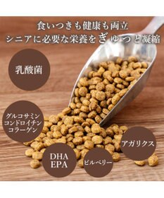 PET PARADISE ビオキッチン エイジングネオ ３ｋｇ