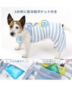 PET PARADISE スヌーピー ポケット付き ジョークール柄 ロンパース 【小型犬】