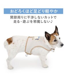 PET PARADISE リサとガスパール 保冷剤付き クール ハーネス 《シトラス柄》  Ｓ 小型犬