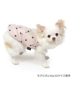PET PARADISE ペットパラダイス 遠赤外線 背中開き 綿入りベスト 《いちご》 超小型犬 小型犬
