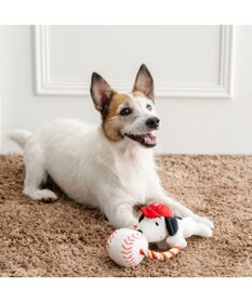 PET PARADISE スヌーピー ナイスキャッチ トイ