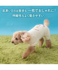 PET PARADISE ペットパラダイス くまちゃん プレミアム ペティヒート ロンパース 小型犬
