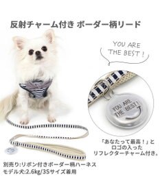 PET PARADISE 犬 リード 【４Ｓ~３Ｓ】 ボーダー