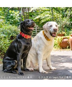 PET PARADISE ペットパラダイス ソフトレザー首輪 《ブルックレッド》 Ｍ