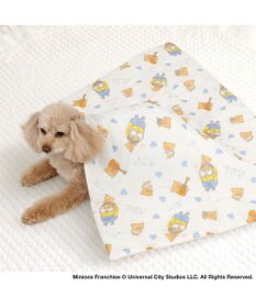 PET PARADISE ミニオン もちっと クール ブランケット 《おすわり柄》