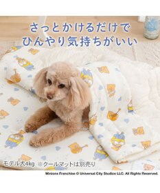 PET PARADISE ミニオン もちっと クール ブランケット 《おすわり柄》