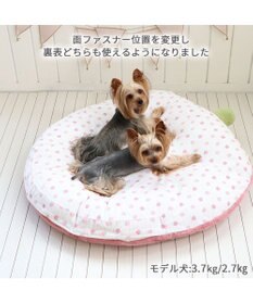 PET PARADISE ネット店限定 ペットパラダイス くすみ苺 クッション L