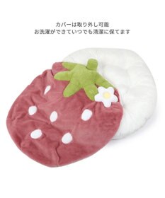 PET PARADISE ネット店限定 ペットパラダイス くすみ苺 クッション L