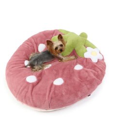 PET PARADISE ネット店限定 ペットパラダイス くすみ苺 クッション L