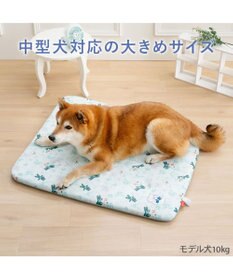 PET PARADISE リサとガスパール もちっと クール マット Ｍ 《海草柄》