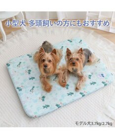 PET PARADISE リサとガスパール もちっと クール マット Ｍ 《海草柄》