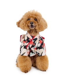 PET PARADISE ペットパラダイス 鶴華着物 小型犬
