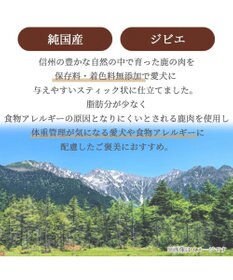 PET PARADISE 鹿肉 スティックジャーキー 35g 国産