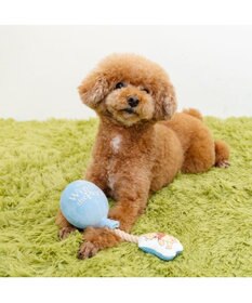 PET PARADISE ディズニー くまのプーさん 風船 トイ