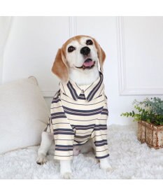 PET PARADISE ペットパラダイス  ペティヒー ト Tシャツ 《マルチボーダー 》中型犬 大型犬