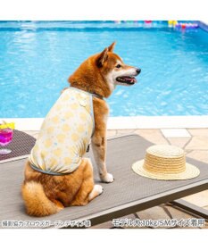 PET PARADISE ペットパラダイス タッチワンクールプラス キャミソール 《あひる》 中型犬