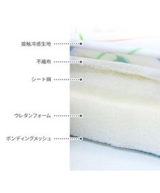 PET PARADISE ディズニー ミッキーマウス もちっとクールマット 防臭