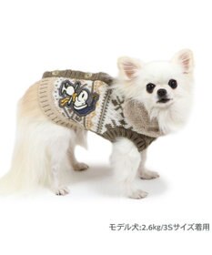 PET PARADISE スヌーピー スケート  ニット 《ホワイト》 小型犬