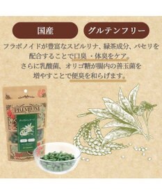 PET PARADISE プレミアムフード デンタルトリーツ 90ｇ