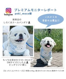 PET PARADISE クールネック バンダナ 《シフォン襟／しろくま／ボタニカル》 保冷剤付き 【小型犬】