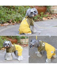 PET PARADISE Lee ワンショルダーパンツつなぎ  小型犬