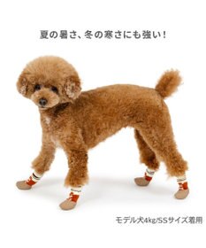 PET PARADISE ペットパラダイス ボーダー フィット靴 Ｓ