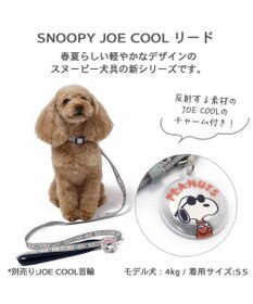 PET PARADISE 犬 スヌーピージョークール 反射 お揃いリード  【ＳＳ~Ｓ】