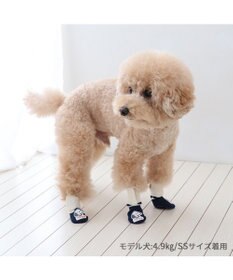 PET PARADISE スヌーピー makokoro スリット 靴下  ＳＳ 小型犬