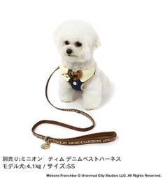 PET PARADISE ミニオン ティム リード 【ＳＳ~Ｓ】 レトロ柄 小型犬