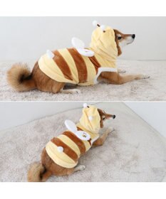 PET PARADISE ペットパラダイス パーカー 《蜂 なりきり》 中型犬 大型犬