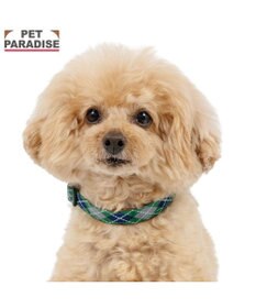 PET PARADISE ペットパラダイス チェック柄 首輪 ＳＳ 小型犬