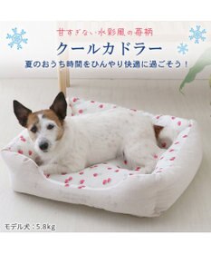 PET PARADISE ペットパラダイス 苺柄 接触冷感 クールカドラーベッド（57×45cm）