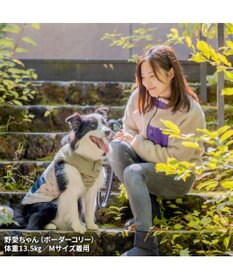 PET PARADISE LEE 綿入ベスト モノグラム 《カーキー》 中型犬 大型犬