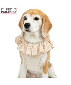 PET PARADISE ペットパラダイス くまちゃん ピエロ襟ベストハーネス ＳＭ