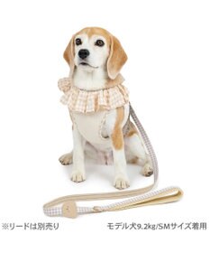 PET PARADISE ペットパラダイス くまちゃん ピエロ襟ベストハーネス ＳＭ