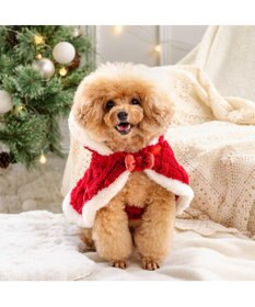 PET PARADISE ペットパラダイス サンタ ポンチョ 2025 小型犬