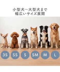 PET PARADISE ペットパラダイス くまちゃん スリットシューズ ＳＭ
