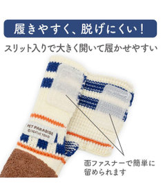 PET PARADISE ペットパラダイス スポーティー シューズ Ｍ