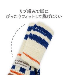 PET PARADISE ペットパラダイス スポーティー シューズ Ｍ
