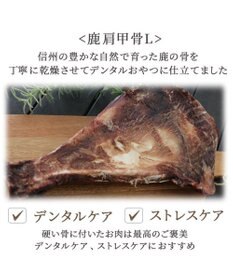 PET PARADISE 鹿 肩甲骨 デンタルおやつ Lサイズ×1本 純国産