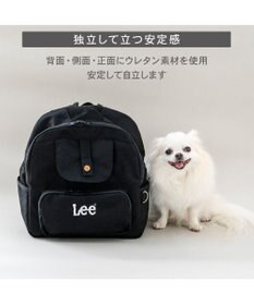 PET PARADISE Lee デイリーリュック 《ブラック》 Ｓ