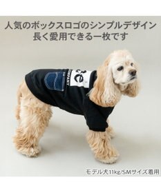 PET PARADISE Lee ボックスロゴ トレーナー ブラック 中型犬