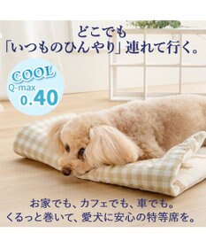 PET PARADISE スヌーピー クール ロールマット 《ブラザー》 Ｍ